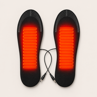 Heated Insoles – USB Powered Warm Shoe Inserts – image 4